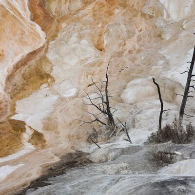 6. Platz: Johannes Wassermann - Bäume im Schwefelfeld