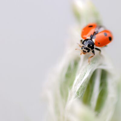 10. Platz: Martin Brugger - Startbereit
