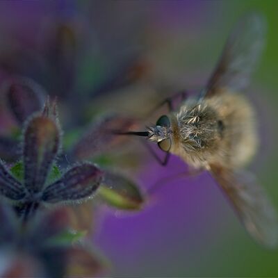 9. Platz: Georg Taschler - Dreifaltigkeit
