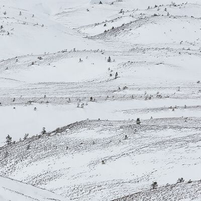 2. Platz: Hugo Wassermann - Hügel bei Neuschnee