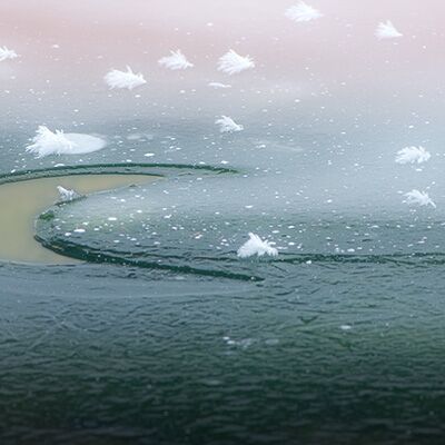 6. Platz: Reinhard Arnold - Mond und Sterne aus Eis