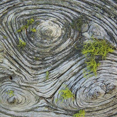 10. Platz: Roland Platzgummer - Holzstruktur