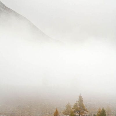 4. Platz: Elzenbaumer Helmut - Fanes