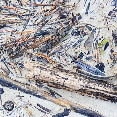 2. Platz: Sepp Hackhofer - Schwemmholz