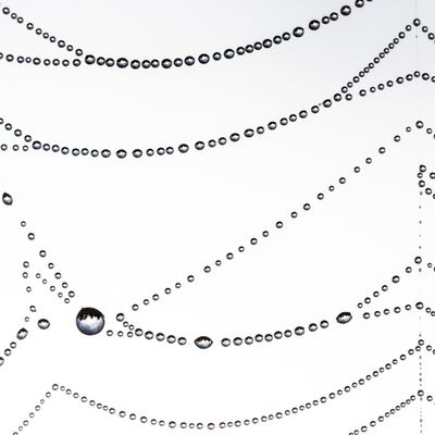 2. Platz: Manuel Plaickner - Tautropfen