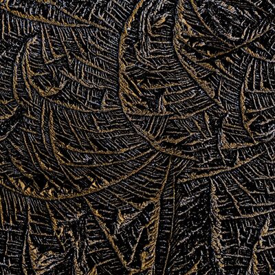 2. Platz: Matthias Gritsch - Schlamm