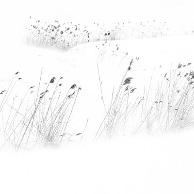 4. Platz: Hugo Wassermann - Schneegestöber