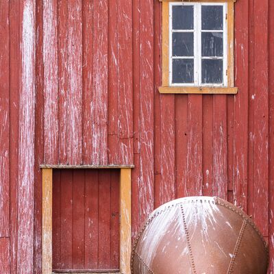 6. Platz: Sepp Hackhofer - Dreizehenmöwen