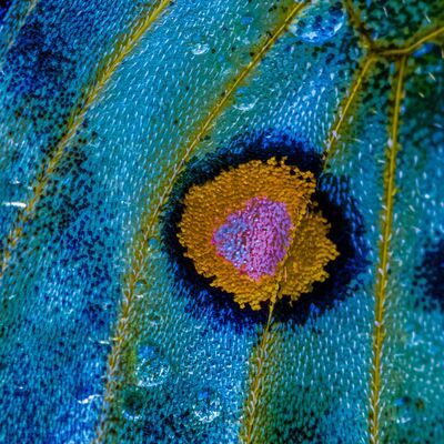 8. Platz: Günther Plaickner - Gefahr