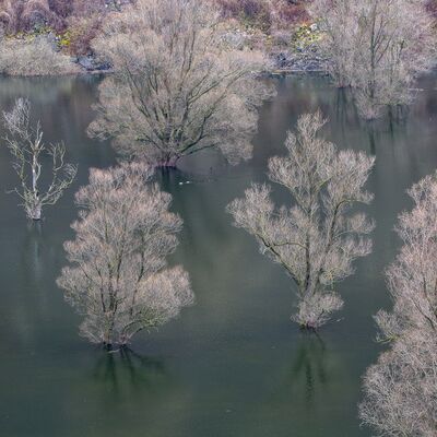 9. Platz: Roberto Siniscalchi - Loppio