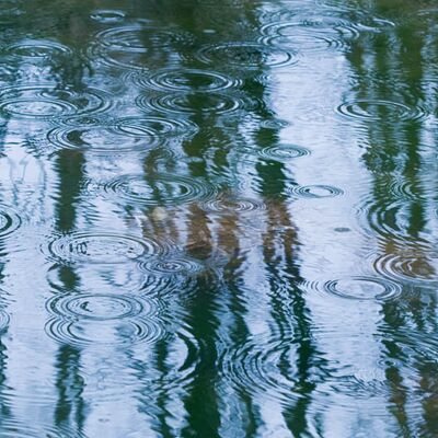 5. Platz: Dapoz Carlo - Spiegelung