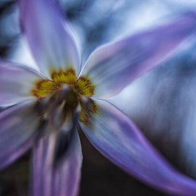 3. Platz: Stefano Baglioni - From the bottom