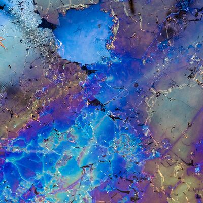 3. Platz: Manuel Plaickner - Milbe