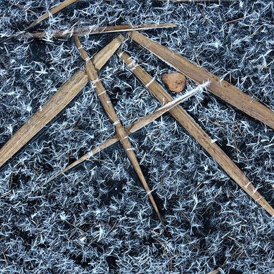 6. Platz: Claudio Sferra - Geometrie naturali