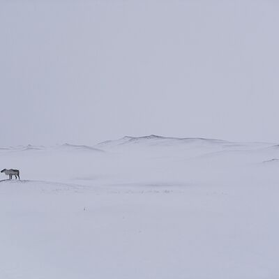 6. Platz: Alfred Erardi - Rentier