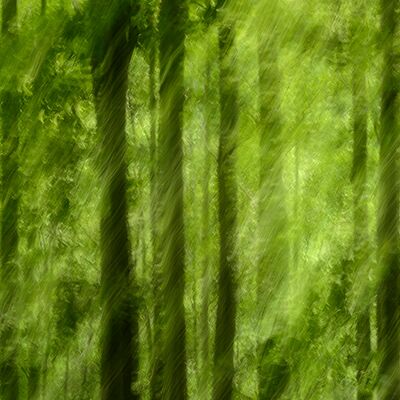 9. Platz: Giovanni Maurizi - Faggeta