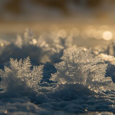 10. Platz: Ulrike Ploner - Eiskristalle