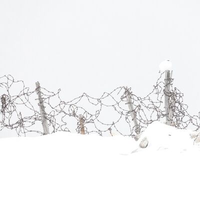 3. Platz: Gerd Tauber