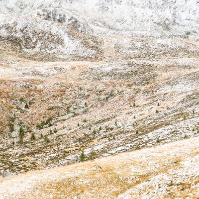 8. Platz: Matthias Gritsch – angezuckert