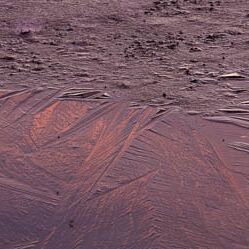 4. Platz: Elzenbaumer Helmut - Eis