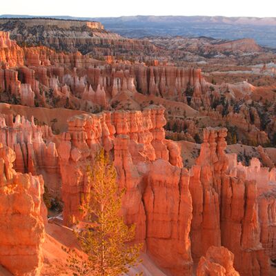 8. Platz: Erich Obkircher - Brice Canyon