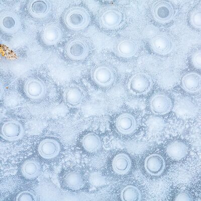 2. Platz: Silvan Lamprecht - Kalter Tod