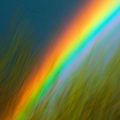 5. Platz: Stefano Baglioni - I colori della pace