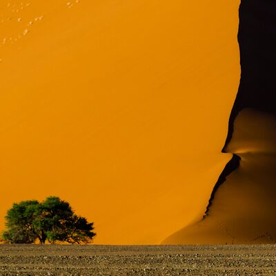 7. Platz: Karl Oberlechner - Düne