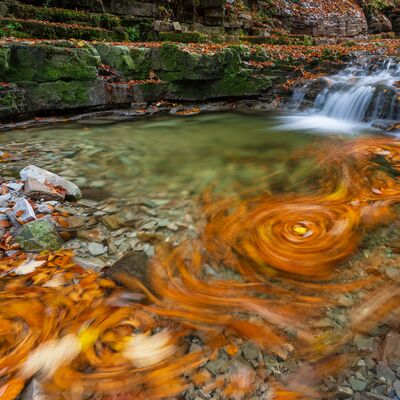 4. Platz: Kerstin Siepmann - Strudel