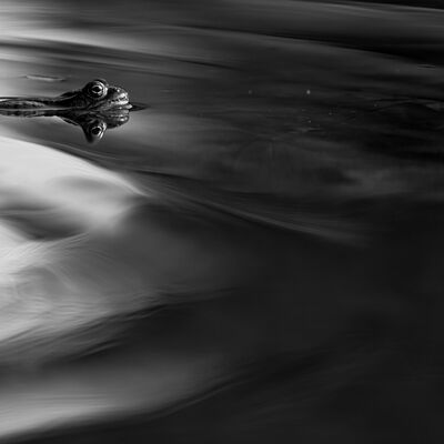 9. Platz: Claudio Sferra - Oscura presenza