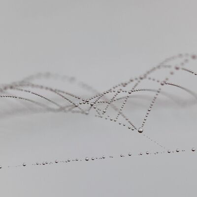 2. Platz: Sepp Hackhofer - Netz im Spiegel