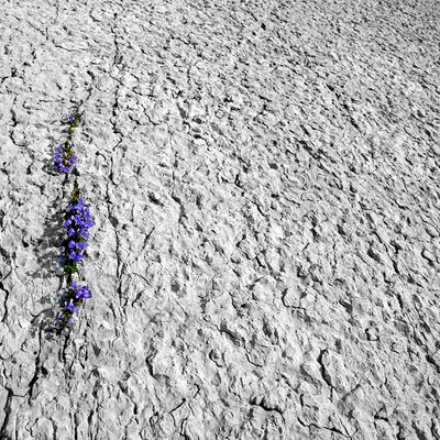 8. Platz: Erlacher Paolo - Karst