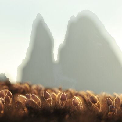 6. Platz: Michael Trocker - Schlern