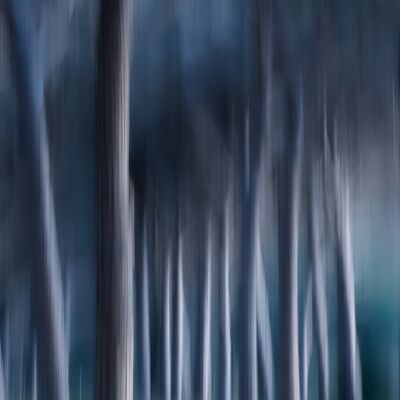 6. Platz: Silvana Giancane - Alberi