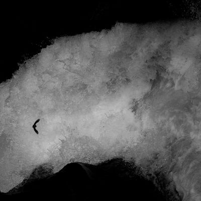 8. Platz: Alex Floriani - Wasseramsel