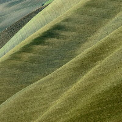 1. Platz: Annamaria Pernstich - Earth of Tuskany