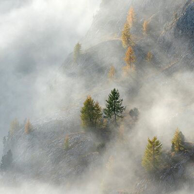 3. Platz: Claudio Sferra - Autunno