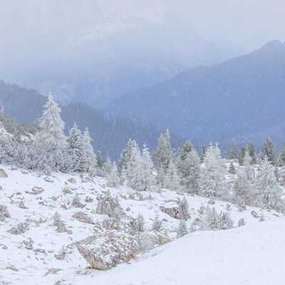 10. Platz: Ulrike Ploner - Wintereinbruch