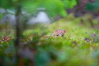 gli occhi si incontrano