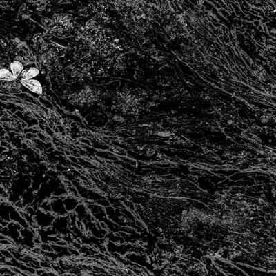 3. Platz: Lukas Schäfer - Tod und Leben