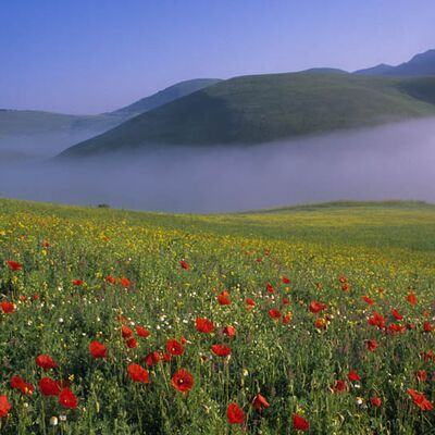 9. Platz: Gheno Bruno - Feine Hügel im Nebel