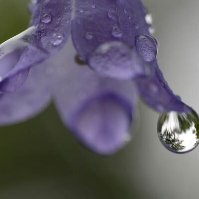 9. Platz: Fischmaller Lorenz - Tropfenklang