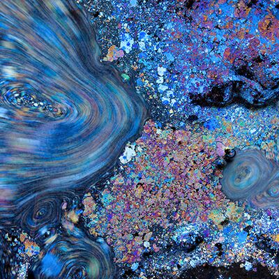 1. Platz: Helmut Elzenbaumer - Kahmhaut