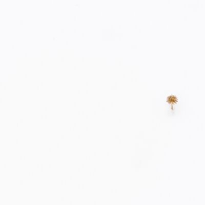 9. Platz: Peter Pliger - Das Ende