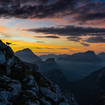 1. Platz: Peter Pliger - Blick ins Tal