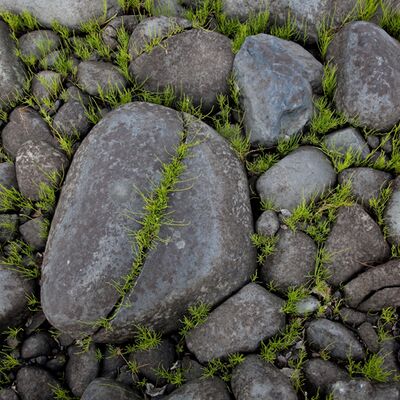 6. Platz: Josef Hackhofer - Steinmosaik