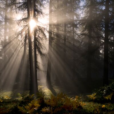 5. Platz: Walter Pallaoro - Paesaggio ed ambiente