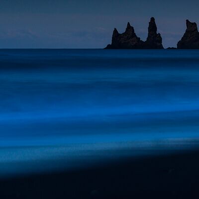 4. Platz: Hugo Wassermann - Vik