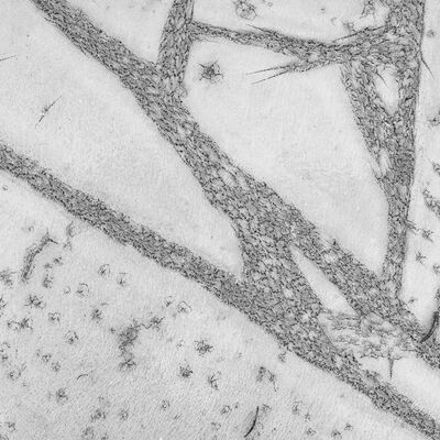 7. Platz: Sepp Hackhofer - Zeichnung im Schlamm