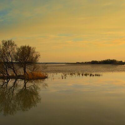 5. Platz: Jaitner Toni - Morgen im PO-Delta